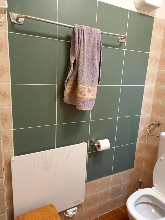 Panoramis Apartment In Schladming Zewnętrze zdjęcie
