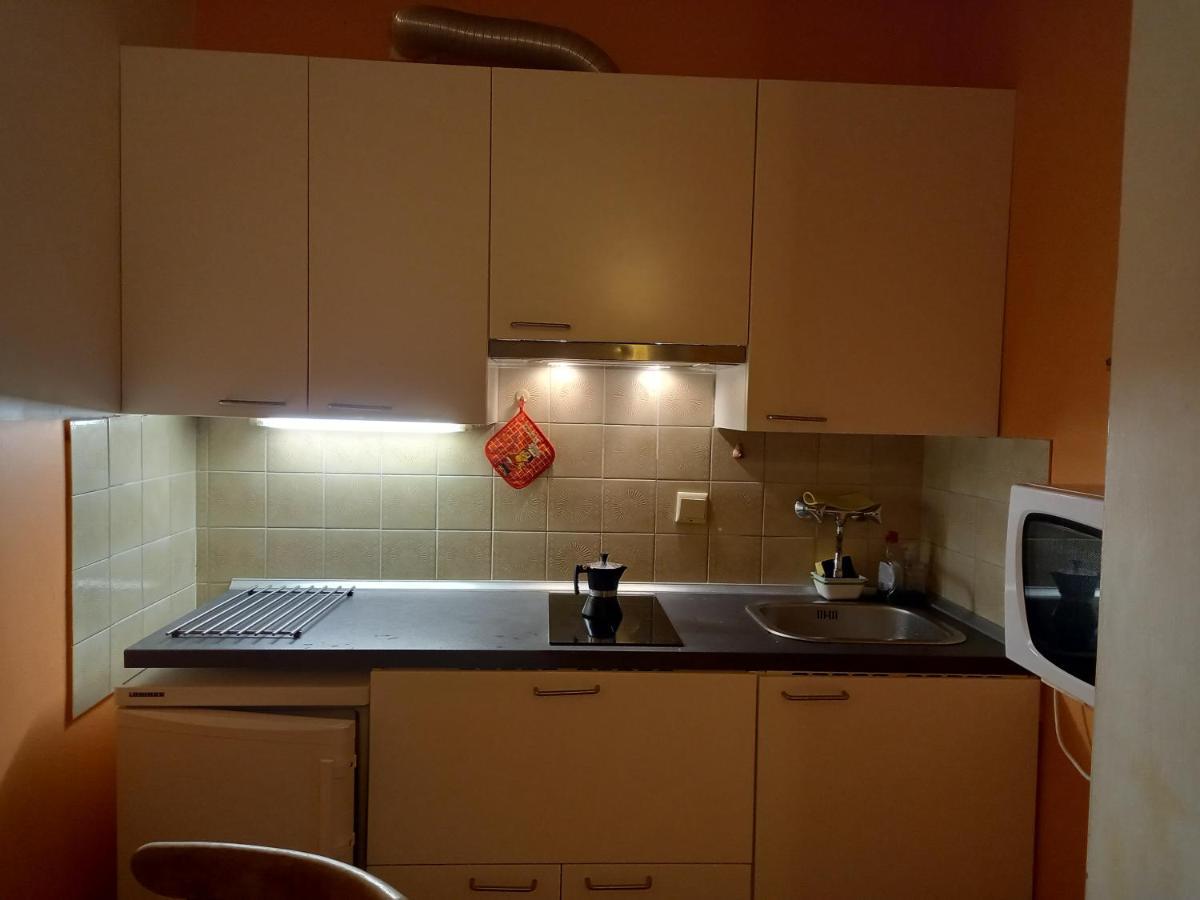 Panoramis Apartment In Schladming Zewnętrze zdjęcie