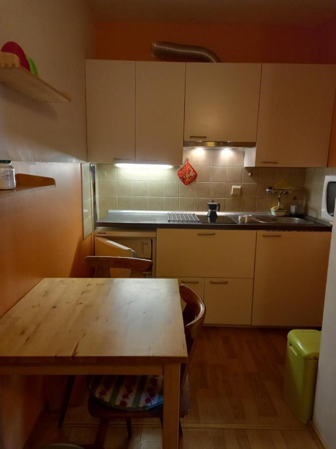 Panoramis Apartment In Schladming Zewnętrze zdjęcie