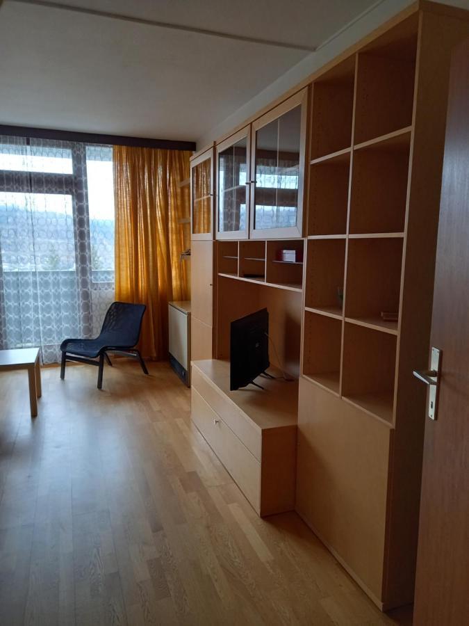 Panoramis Apartment In Schladming Zewnętrze zdjęcie