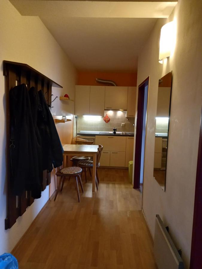 Panoramis Apartment In Schladming Zewnętrze zdjęcie